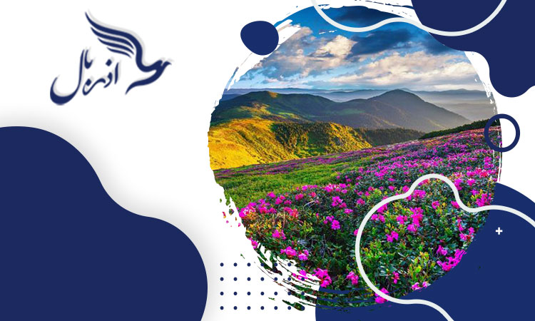 دره گل ها ارمنستان